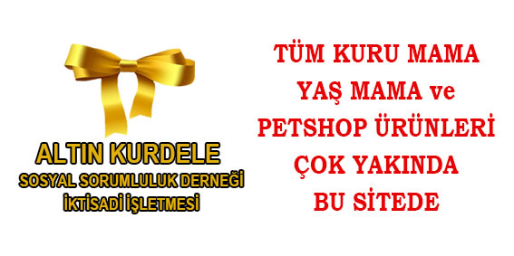 ALTIN KURDELE=